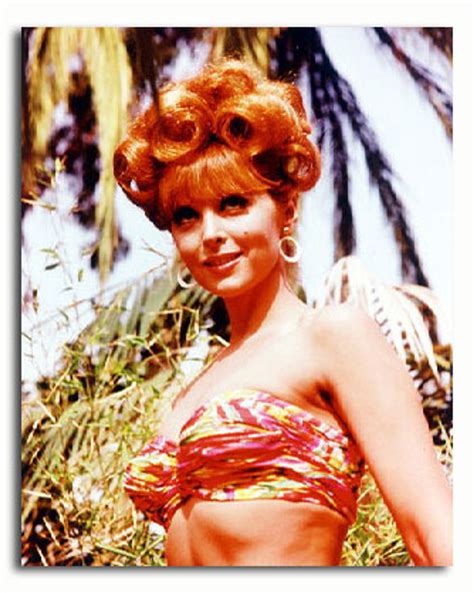 (SS2135471) Movie picture of Tina Louise buy celebrity photos and