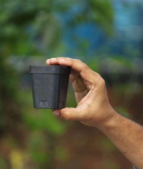 high quality   pots  indoor outdoor plants