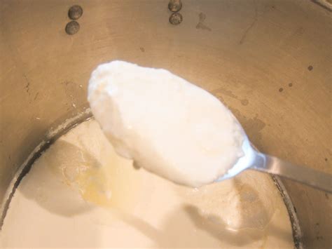 Сыр Буко