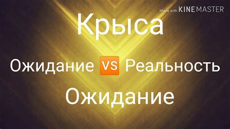 Ожидание 🆚 Реальности - YouTube