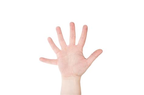 Free Photo | Hand with six fingers