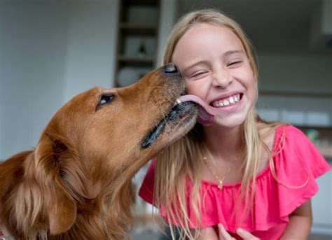 Why Does My Dog Lick Everything? | PetMD