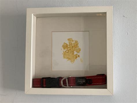 Nina Needham Obituary: Remembering Her Life and Legacy 22