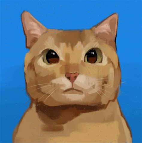 funny cat by alechkaaa on DeviantArt