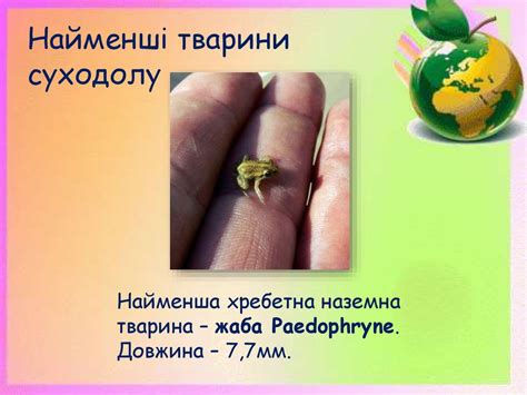 Тварини рекордсмени - презентация онлайн