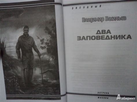 Книгу Владимир Васильев - longislanddannie