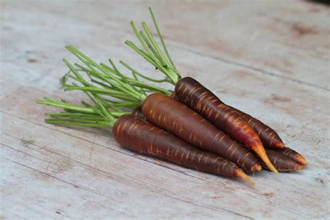 Best Purple Carrots Stock Photos, Pictures & Royalty-Free Images - iStock