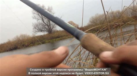 Рибалка на спининг и на тролинг - YouTube