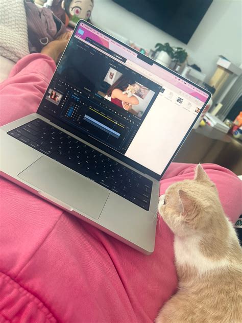 imane 💜 on Twitter: "next imane video 🐈 https://t.co/s7wrnyUEeA" / Twitter