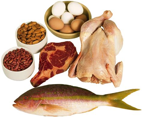 Nutrientes Utilizados Pelo Corpo Para Crescer E Reparar Estruturas