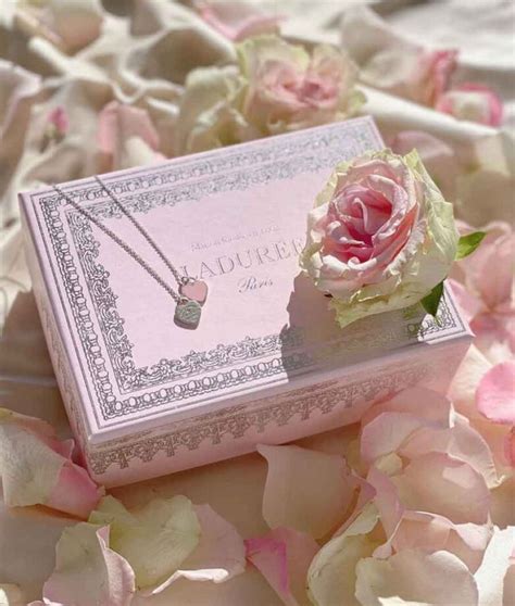 Rose Aesthetic Guide - The Mood Guide