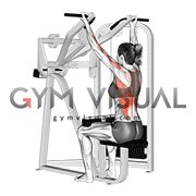 Reverse Grip Machine Lat Pulldown (female)