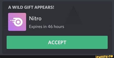 wild gift appears nitro expires ifunny