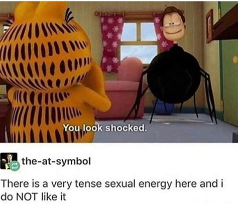 Shook