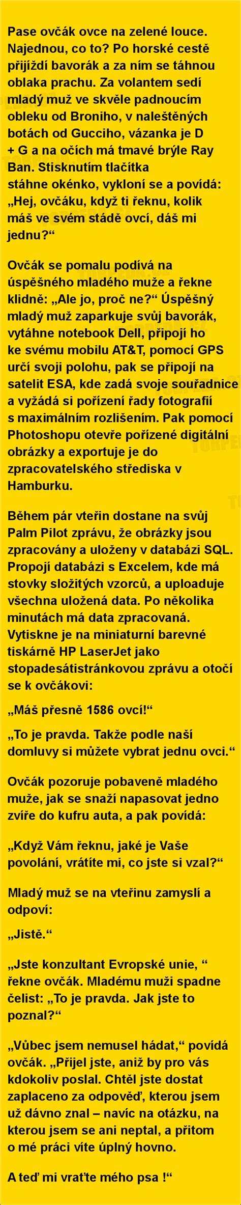 Pase ovčák ovce na zelené louce... | torpeda.cz - vtipné obrázky, vtipy ...