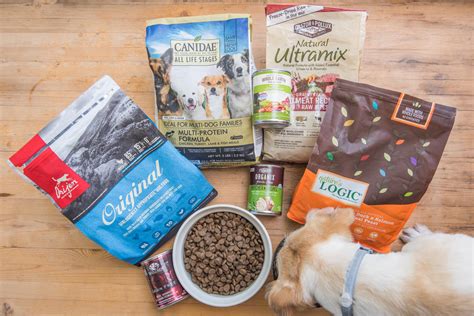 Best Dry Dog Food For Fussy Dogs at Robert Baca blog