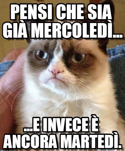 Buon Martedì divertenti