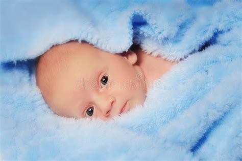 15,692 сосунок стоковые фото – бесплатные и стоковые фото RF от Dreamstime