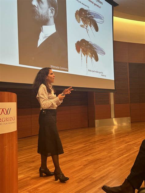 Fruit flies provide insight into effects of diet on fertility – The