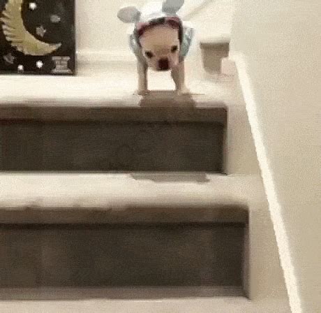 Daily Gifdump (30 GIFS) - Izismile.com