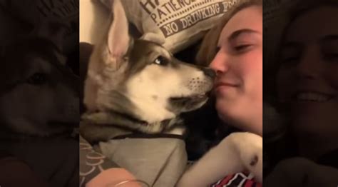 This Puppy Laughing Is Going To Make Your Day