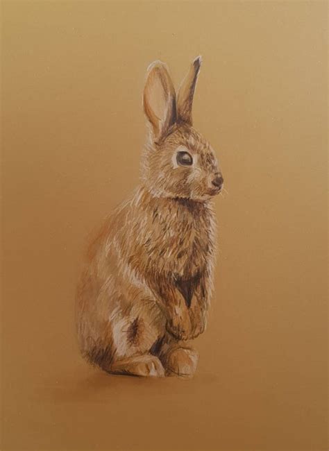 How to draw a bunny · Sketch a Day