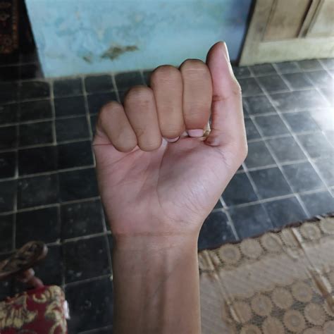 bahasa isyarat sibi object detection dataset  signlanguagedetection