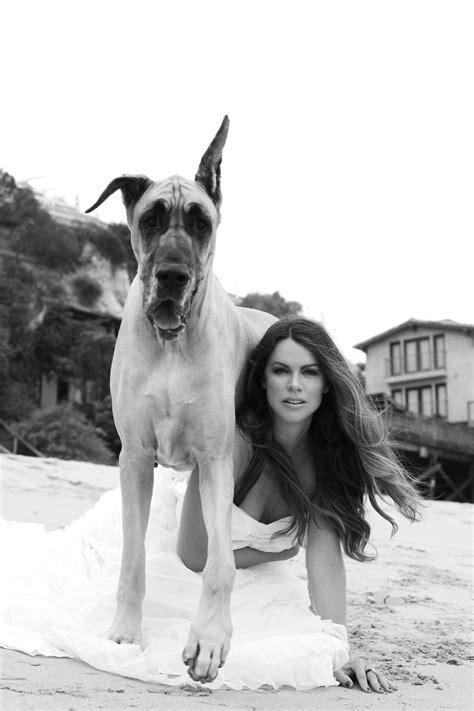 Pin by Jamie Perry on doggie do | Great dane puppy, Dog photoshoot