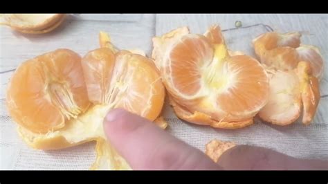 Мандарин какой же сорт покупать в Январе🍊🍊🍊🍊🍊 - YouTube