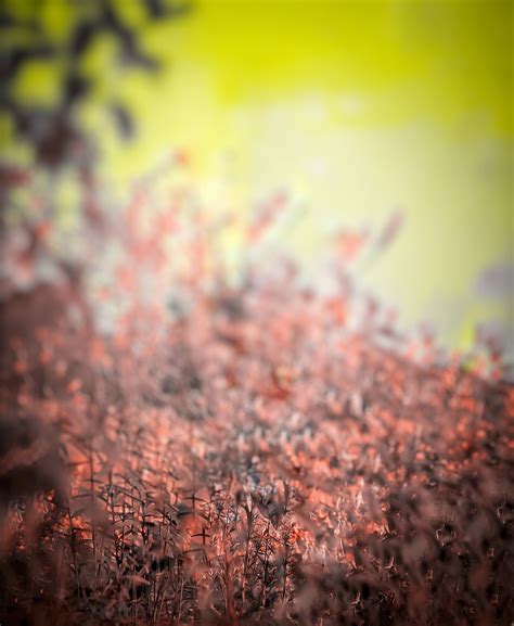 how to change any photo background 7