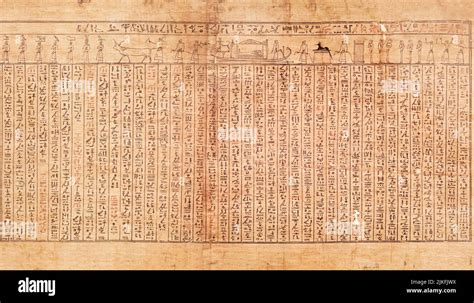 book   dead egyptian papyrus representing  spell    book
