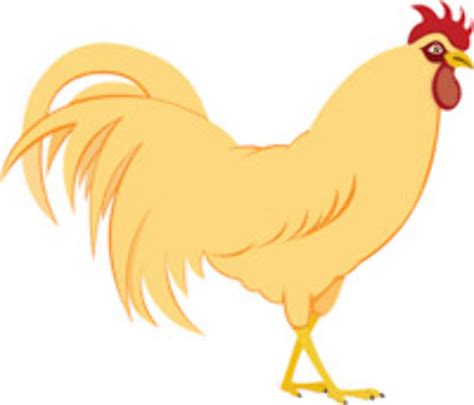 Download High Quality chicken clipart realistic Transparent PNG Images ...