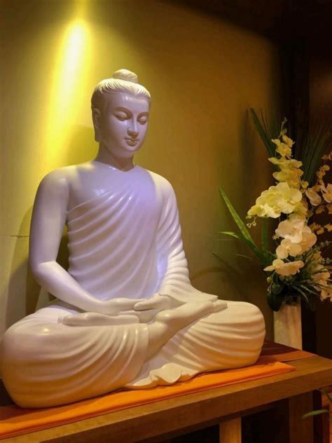 lord buddha hinh anh phat tuong