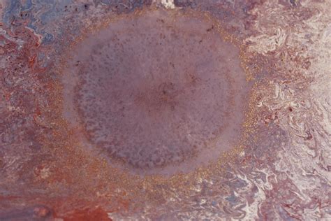 white lines  stock photo