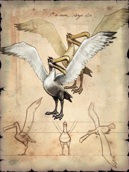 Sky2Fly. Энциклопедия.