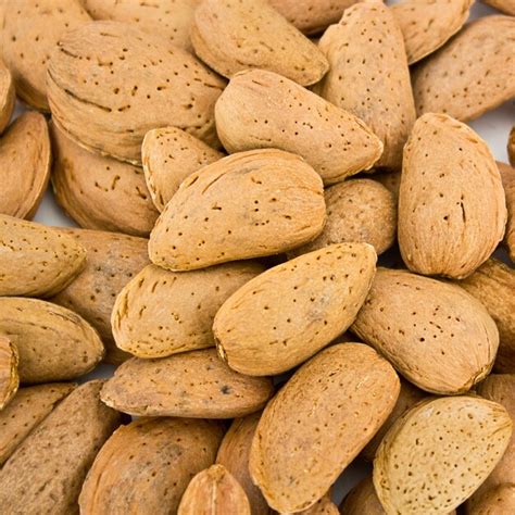 premium photo almonds close