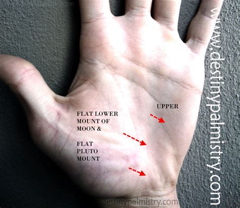 Venus Mount and Meanings of Other Areas of the Hand - Destiny Palmistry