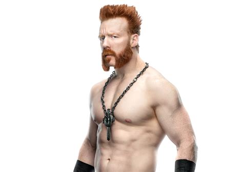 Sheamus Sign