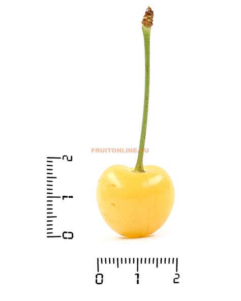 Купить черешню желтую в Fruitonline.ru