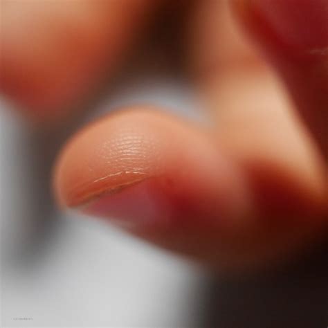 Finger Tip Of A Child Free Stock Photo - Public Domain Pictures