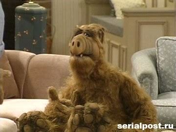 Создать мем "Альф (Альф, alf, сериал альф)" - Картинки - Meme-arsenal.com