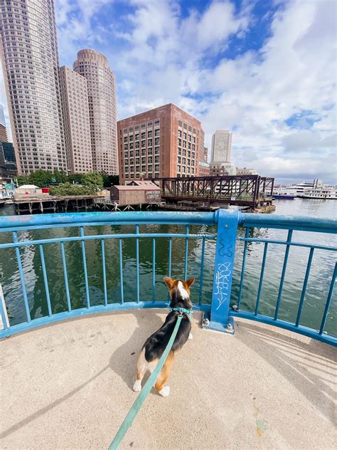 Grace Holland - Grace Holland added a new photo.