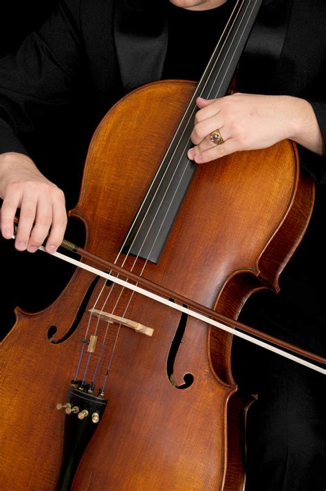 300+ Cello Bilder und Fotos · Kostenlos Downloaden · Pexels Stock-Fotos
