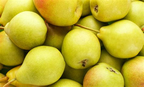 Fruta Pera Tem Acento - 9