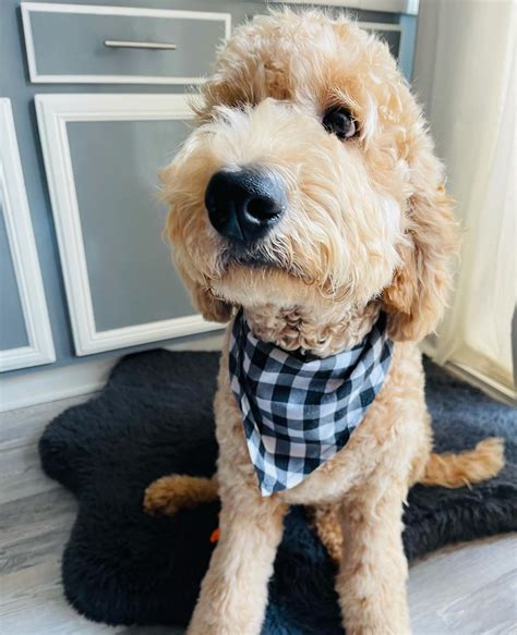 Bailey / Dallas (@bailey.dallas_) • Instagram photos and videos