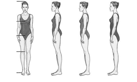 vertical body type - discover your body type - 40+style | Body shapes ...