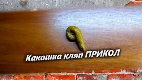 Какашка кляп ПРИКОЛ - YouTube