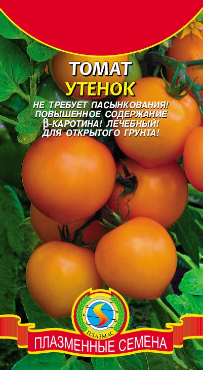 Томат УТЕНОК - Плазменные семена