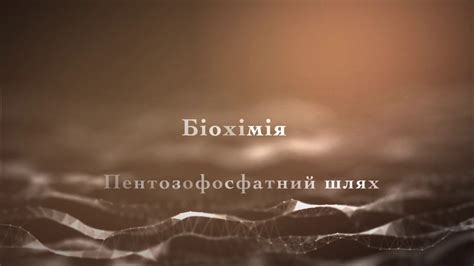 Біохімія. Пентозофосфатний шлях - YouTube