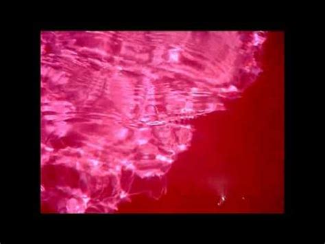SEA OF AZOV TURNED RED IN RUSSIA JULY 2012 - YouTube